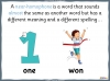 Homophones - Years 3 and 4 Teaching Resources (slide 6/23)